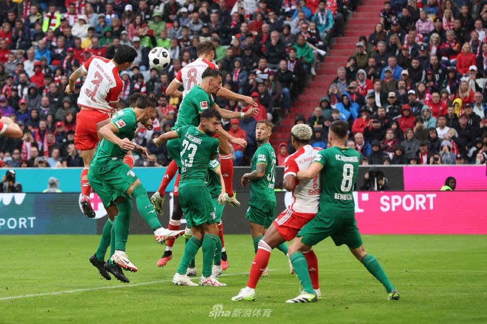 在摩纳哥的 在摩纳哥的